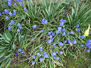 PICT1598 (Kopie)